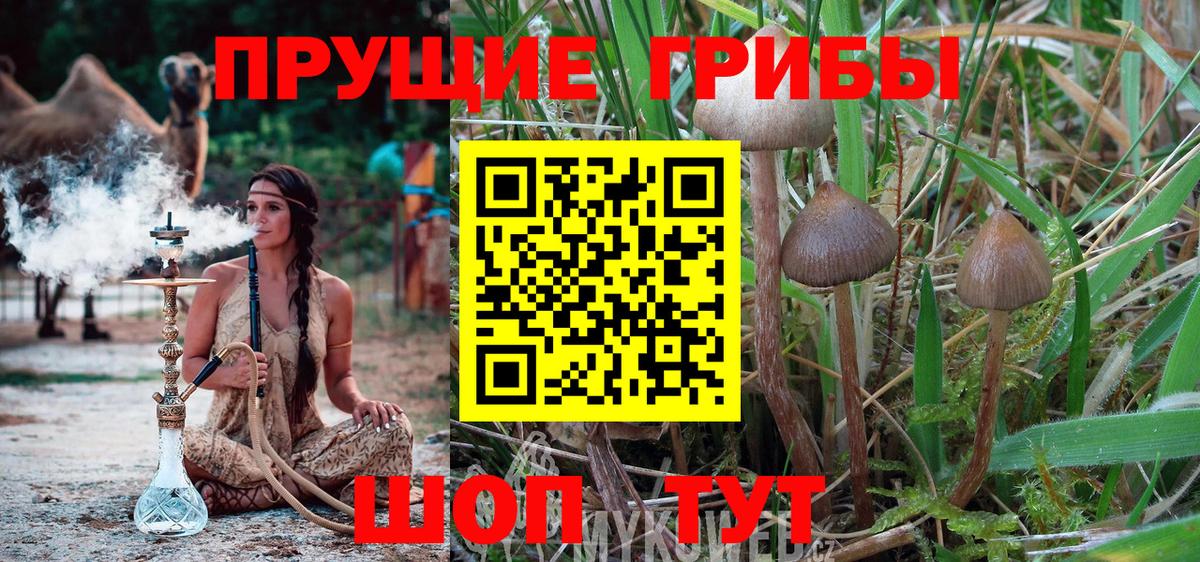Галлюциногенные грибы Cubensis Сертолово