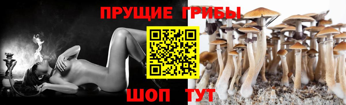 Псилоцибиновые грибы MAGIC MUSHROOMS  Вход с VPN  Сертолово 
